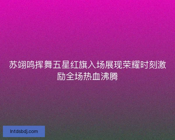苏翊鸣挥舞五星红旗入场展现荣耀时刻激励全场热血沸腾